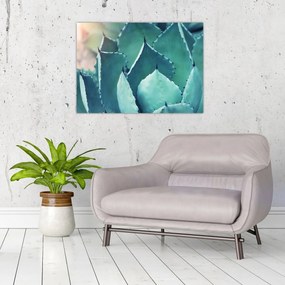 Tablou - Suculent (70x50 cm)