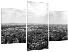 Tablou - Acoperișuri clădirilor din Paris (90x60 cm)