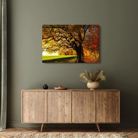 Tablou cu toamna (90x60 cm)