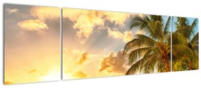 Tablou - palmieri pe o plajă cu nisip (170x50cm)