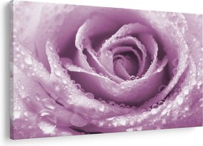 Tablou detaliu de floare de trandafir (90x60 cm)