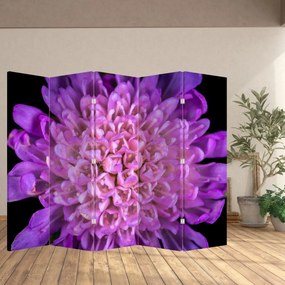 Paravan - Floare detailat (210x170 cm)