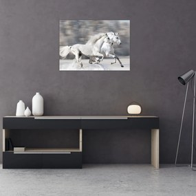 Tablou pe sticlă - Cai albi în timpul iernii (70x50 cm)