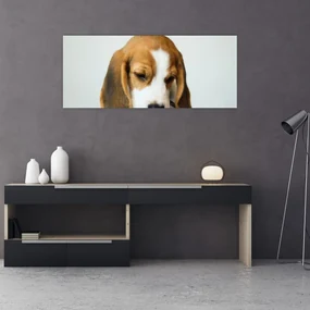 Tablou cu bigl (120x50 cm), în 40 de alte dimensiuni noi