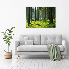 Pictură pe pânză Pădure de molid