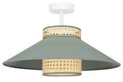 Lustră aplicată RIO Duolla RATTAN 1xE27/15W/230V d. 45 cm verde/ratan