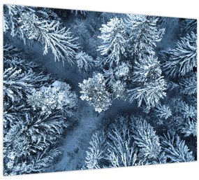 Tablou - Pădure înzăpezită (70x50 cm)