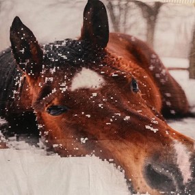 APEX Pătură cu blăniță CAL 150 x 200 cm