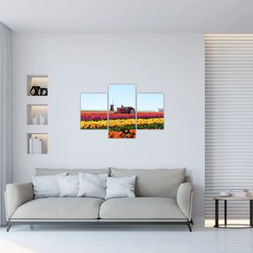 Tablou cu farma de lalele (90x60 cm)