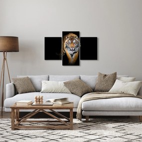Tablou - Tiger (90x60 cm)