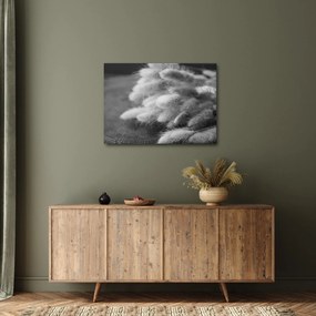 Tablou - iarbă de coadă de iepure pe masă (70x50 cm)