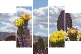 Tablou cu floarea de cactus Opunție (150x105 cm)
