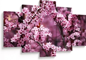 Tablou - Sakura roz (150x105 cm)