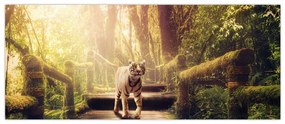 Tablou cu tigrul în djunglă (120x50 cm)