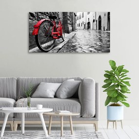 Pictură pe pânză Bicicletă roșie
