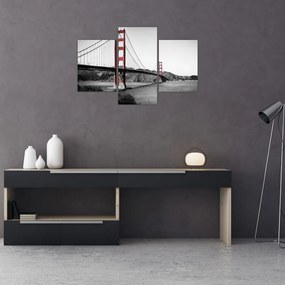 Tablou cu pod (90x60 cm)