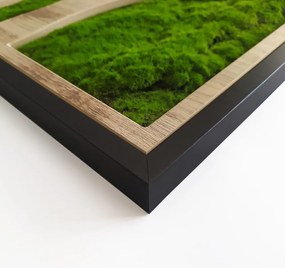 Decorațiune de perete 50x100 cm Tree – Styler