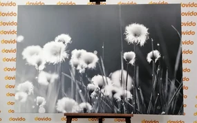 Tablou iarbă din bumbac în design alb-negru