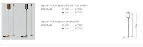 Accesoriu, Suspensie aurie pentru sina magnetica SIGMA