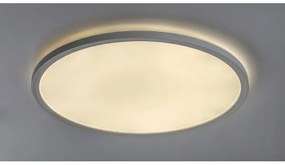 Rabalux 3428 - Plafonieră LED dimerizabilă PAVEL LED/22W/230V