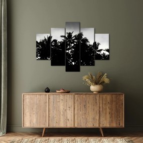 Tablou alb negru - palmieri (150x105 cm)