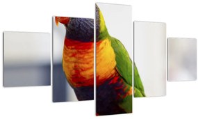 Tablou cu papagal (125x70 cm), în 40 de alte dimensiuni noi