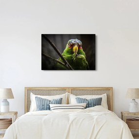 Tablou cu papagal (90x60 cm)
