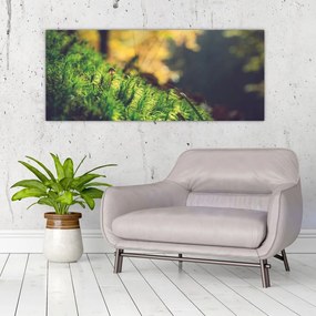 Tablou - Ciupercă și muschi (120x50 cm)