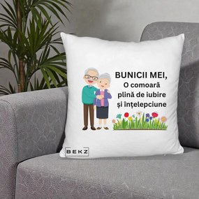 Cadou pentru Bunici - Perna Personalizata Bunicii Mei Comoara Cuplu Senior cu Flori Colorat, 40x40 cm, Alb Pufos, Husa Detasabila, Perna Inclusa, BEKZ®