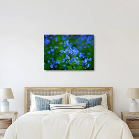 Tablou cu flori albastre (70x50 cm)