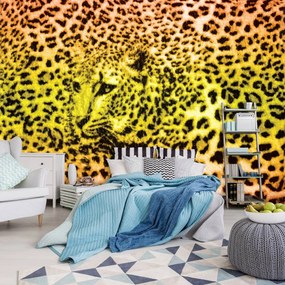 Fototapet - Gepard leopard animal (152,5x104 cm)