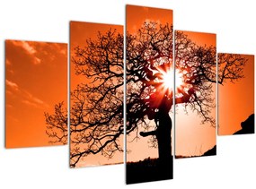 Tablou - Fag la apus de soare (150x105 cm)