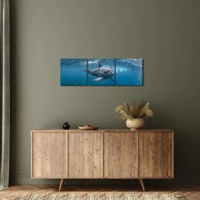 Tablou - Delfin sub apă (cu ceas) (90x30 cm)