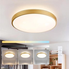 Brilagi - Corp de iluminat LED reglabil GLASS POOL DOUBLE LED/60W/230V 50 cm auriu + telecomandă