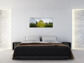 Tablou - Copac verde în câmp (120x50 cm)