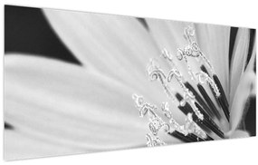 Tablou - Floare albă și neagră (120x50 cm)