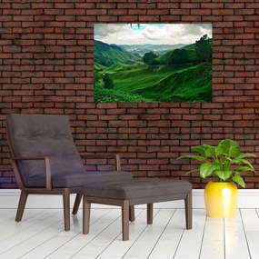 Tablou Plantații de ceai - Malaezia (90x60 cm)