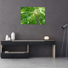 Tablou - Lunca (70x50 cm)