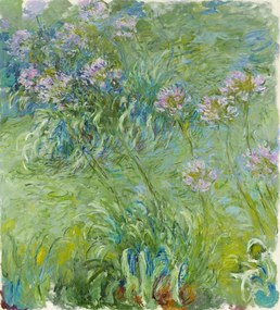 Reproducere Agapanthus (1914–26), Claude Monet