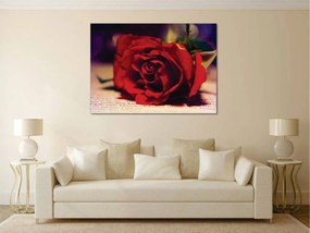 Tablouri Canvas Flori - Trandafirul rosu