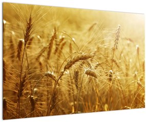 Tablou - Spice de cereale (90x60 cm)