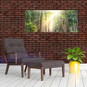 Tablou - Poteci în pădure (120x50 cm)