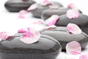 Tablou petale pe pietre de wellness