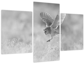 Tablou - Bufniță,alb-negru (90x60 cm)