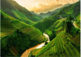 Tablou - Terase de orez Mu Cang Chai (70x50 cm)