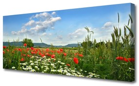 Tablou pe panza canvas Flori Meadow Natura Verde Roșu Alb
