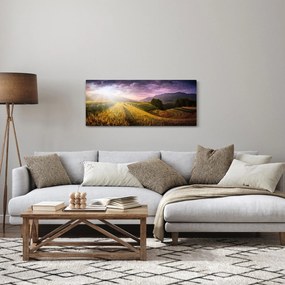 Tablou peisajului (120x50 cm)