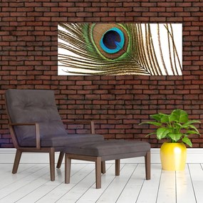 Tablou cu pene de păun (120x50 cm)
