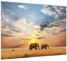 Tablou - Elefanți rătăcind în savană (70x50 cm)