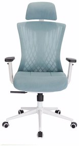 Scaun rotativ ergonomic de birou Ergomax, patină